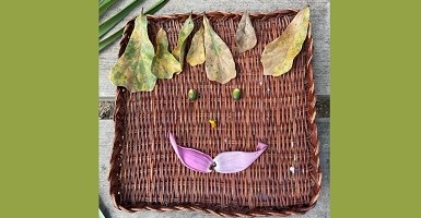 Nature face craft at Knock Knock Children's Museum