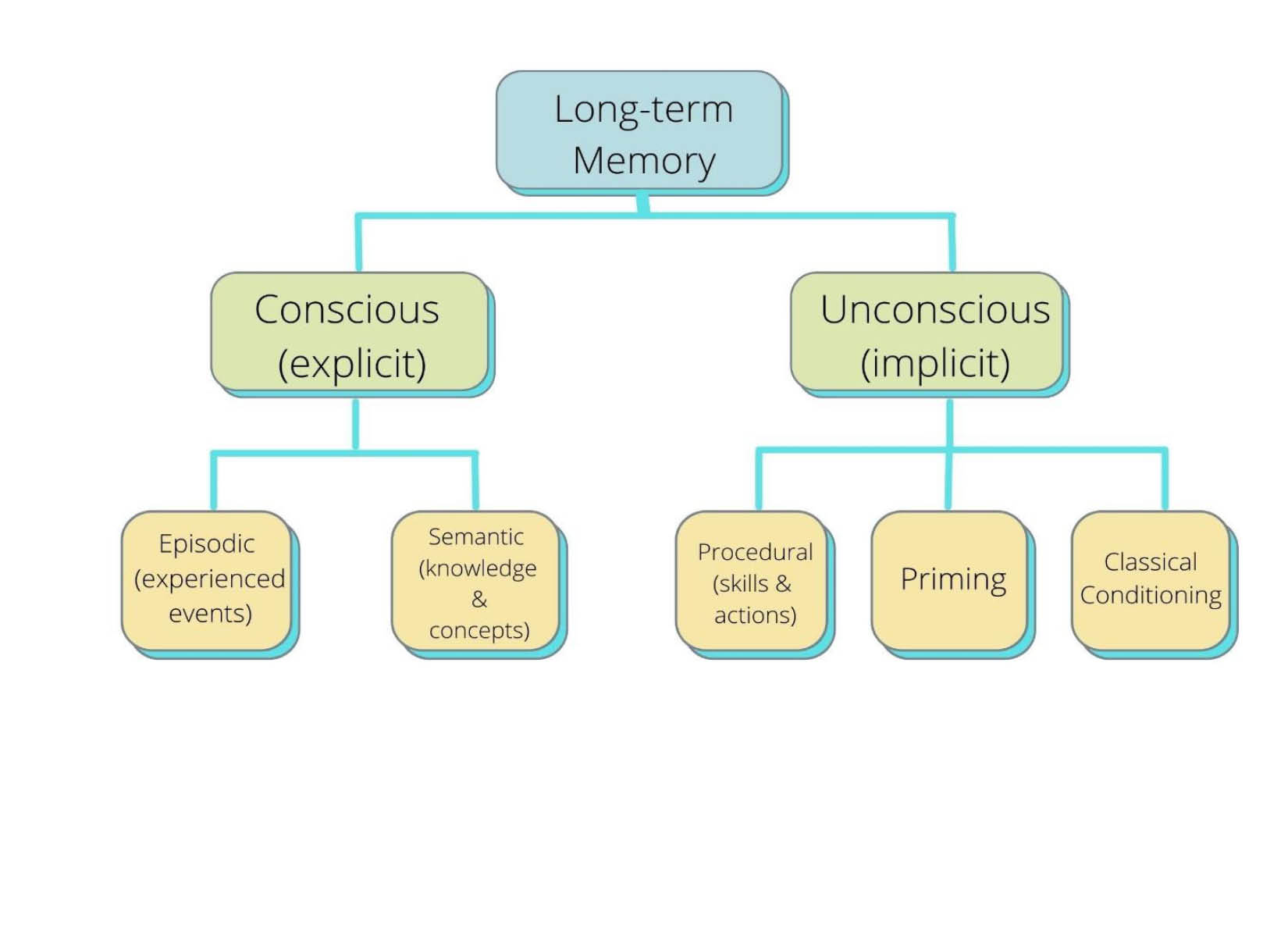 when-to-begin-early-memories-build-the-foundation-for-environmental